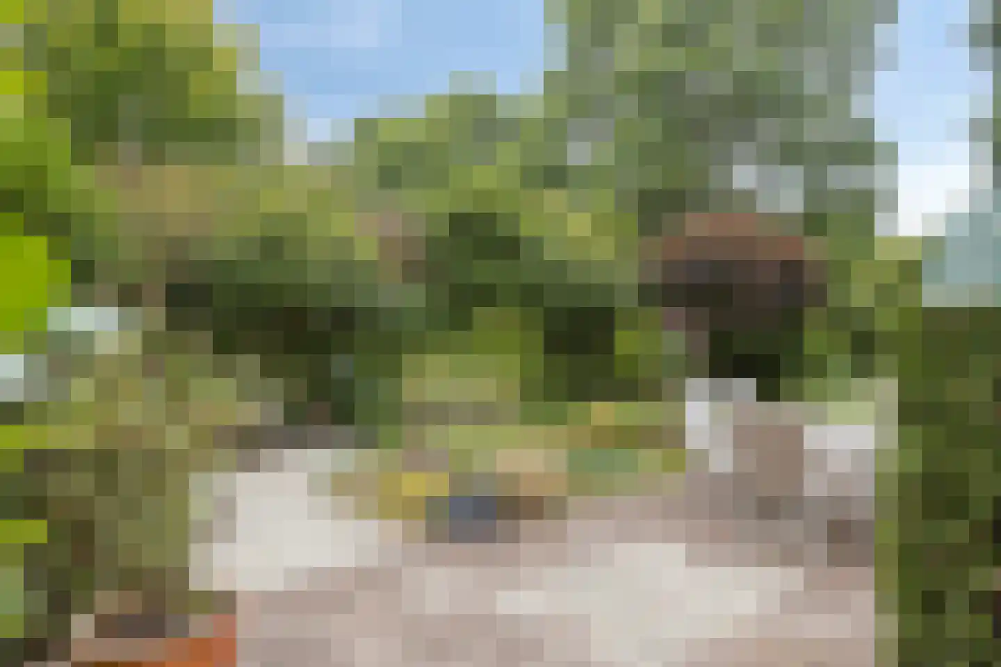 Beekhuizenseweg 24 Velp thumbnail 48