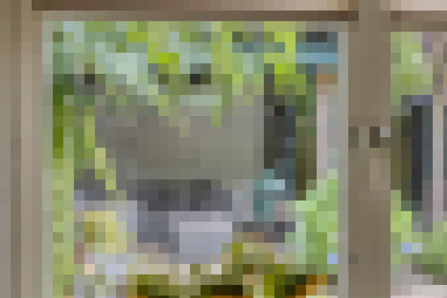 Beekhuizenseweg 24 Velp thumbnail 50