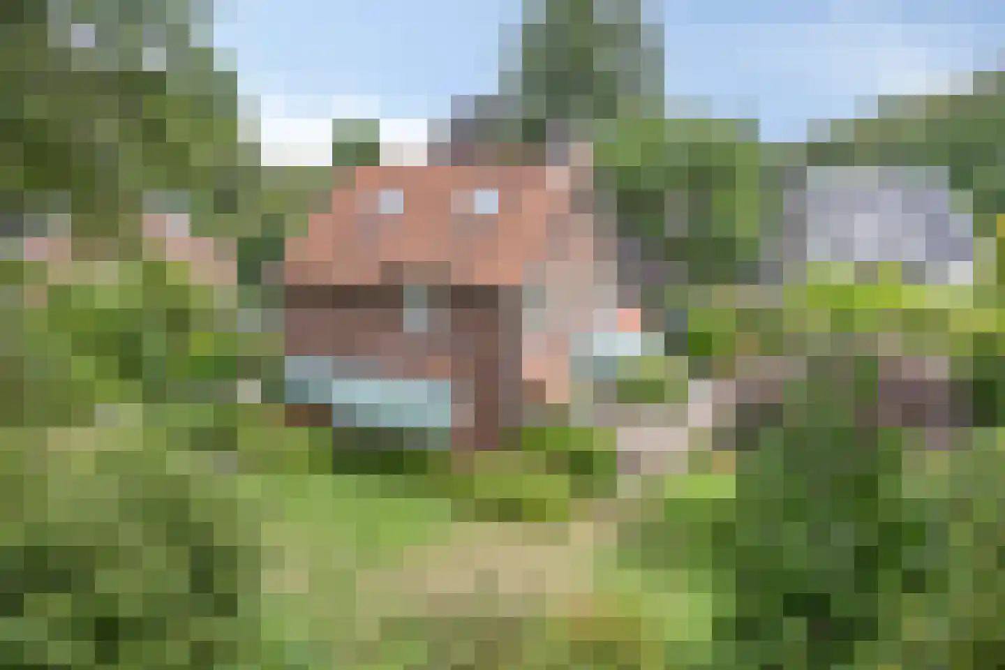 Beekhuizenseweg 24 Velp thumbnail 51