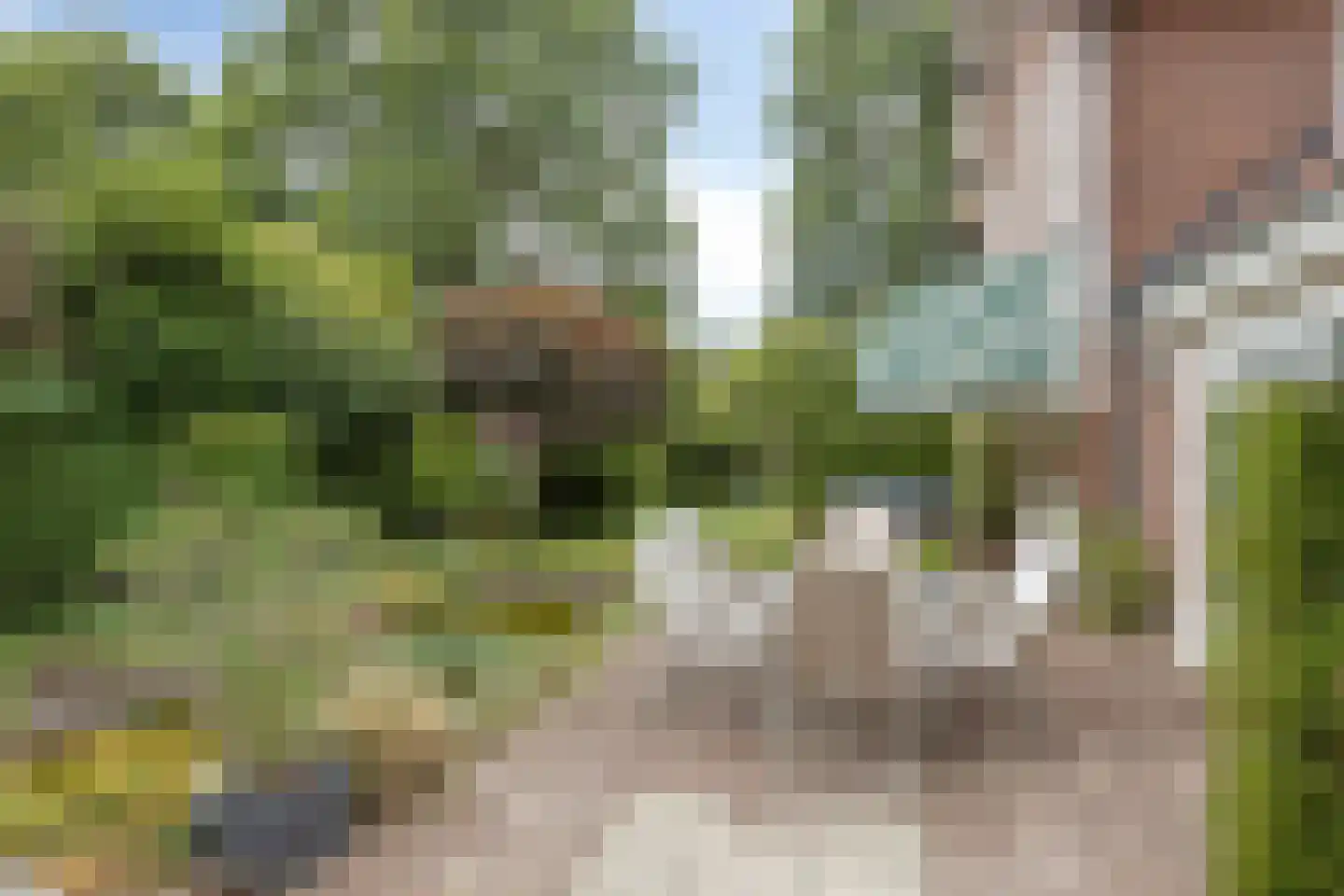 Beekhuizenseweg 24 Velp thumbnail 52