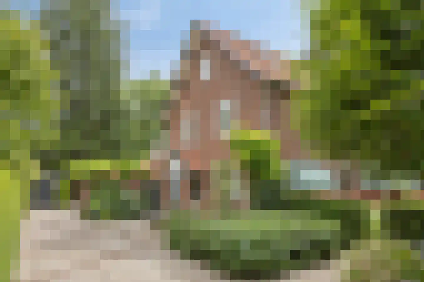 Beekhuizenseweg 24 Velp thumbnail 6