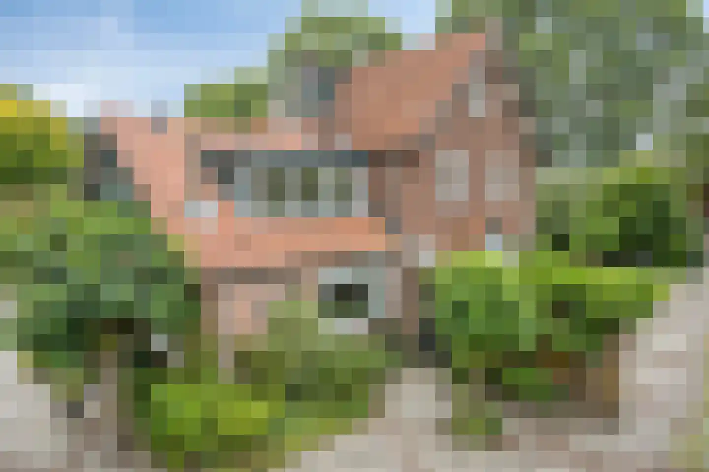 Beekhuizenseweg 24 Velp thumbnail 64