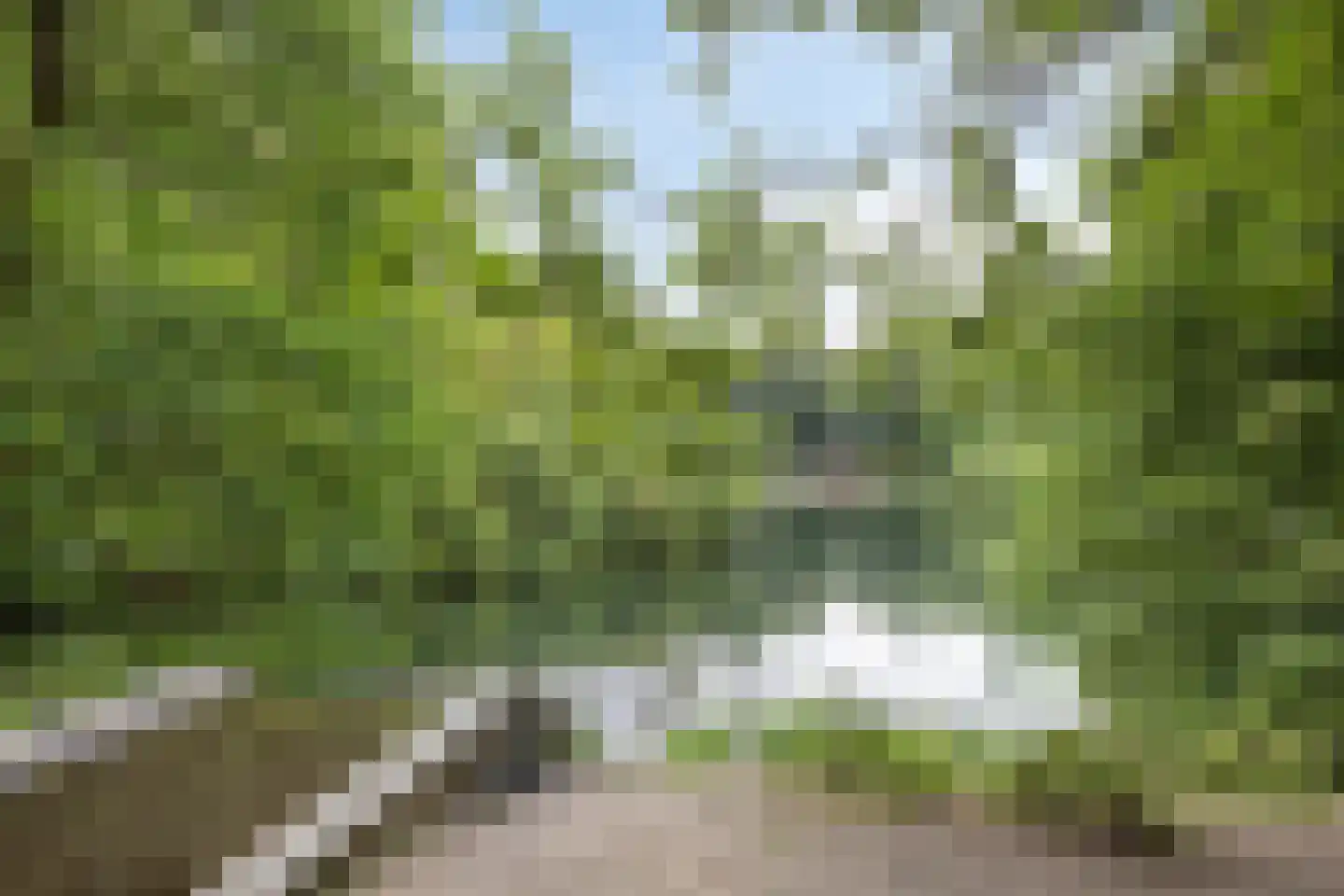 Beekhuizenseweg 24 Velp thumbnail 66