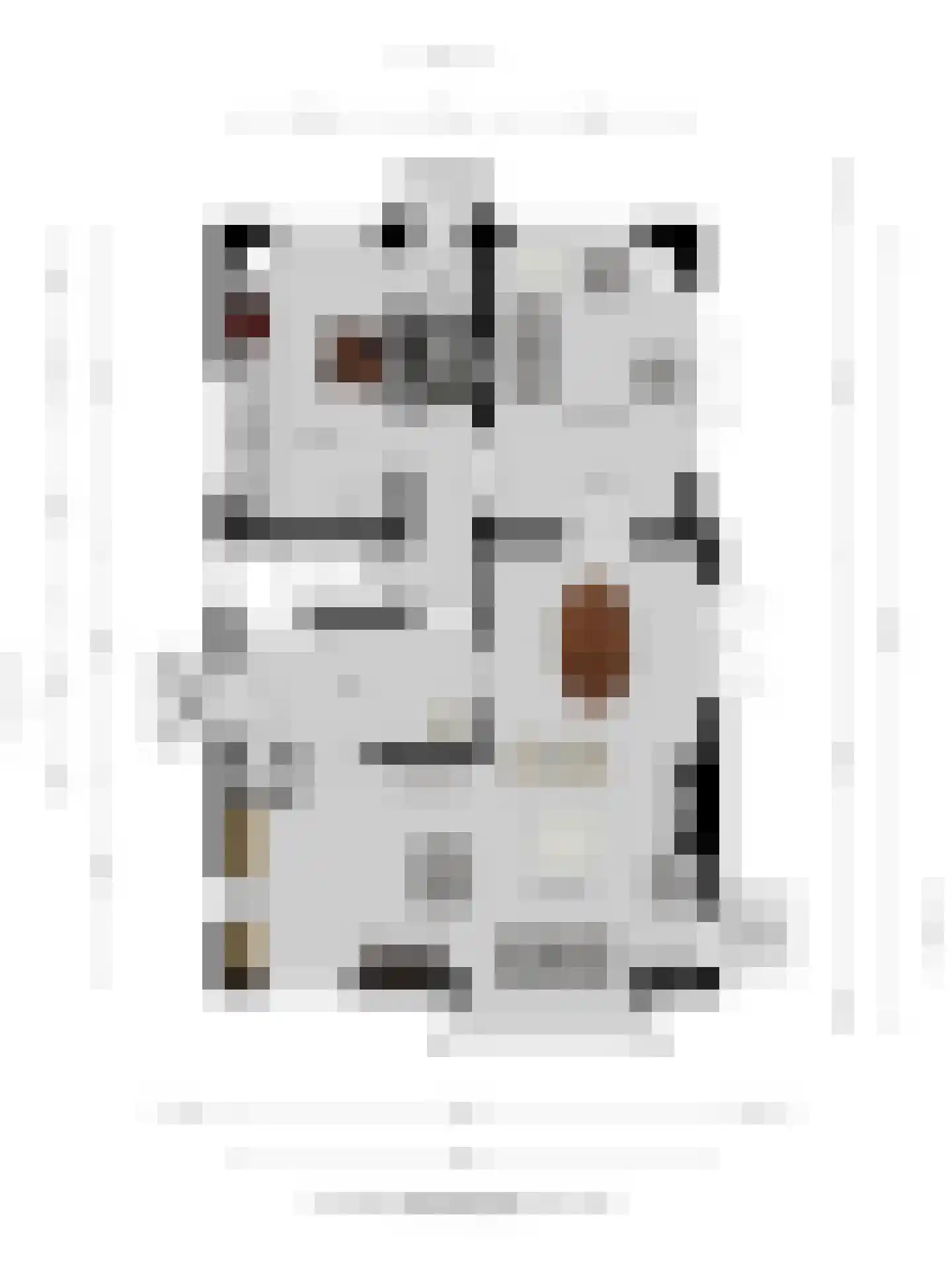 Beekhuizenseweg 24 Velp thumbnail 68