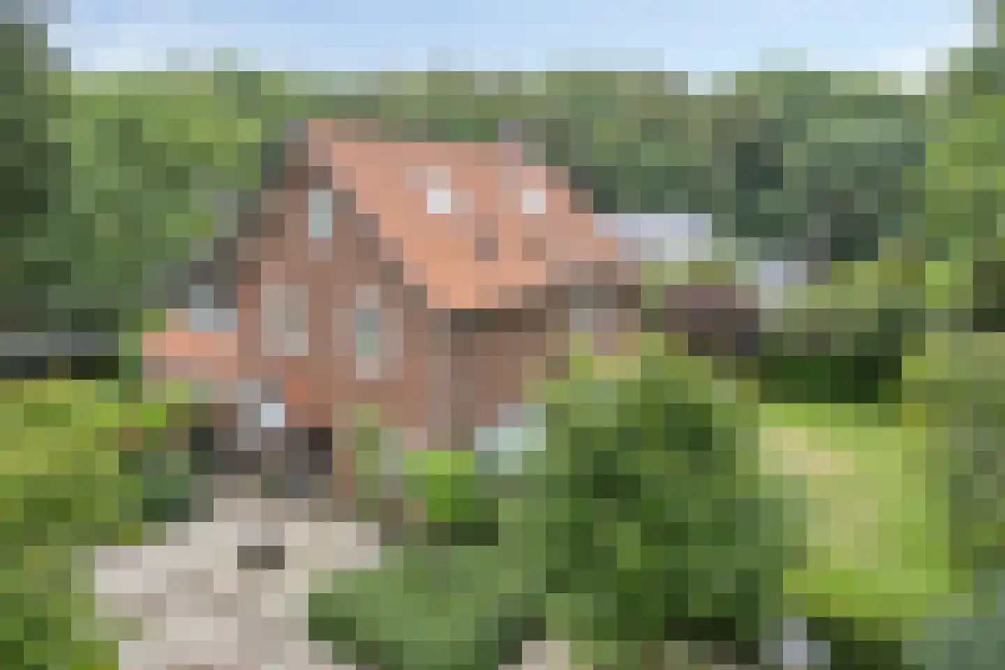 Beekhuizenseweg 24 Velp thumbnail 7