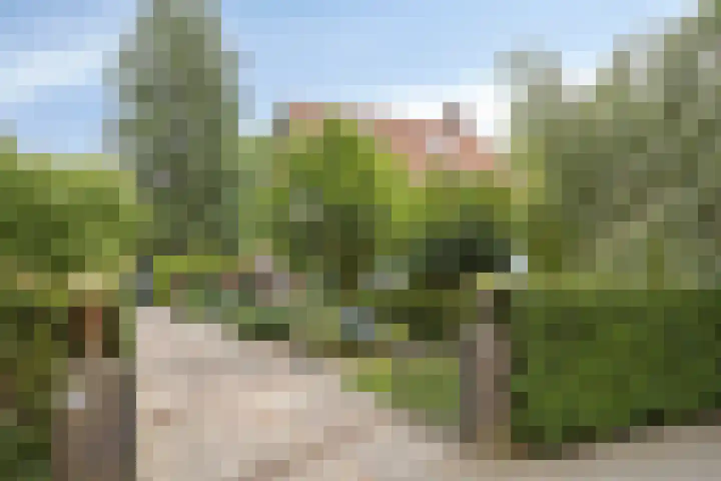 Beekhuizenseweg 24 Velp thumbnail 9