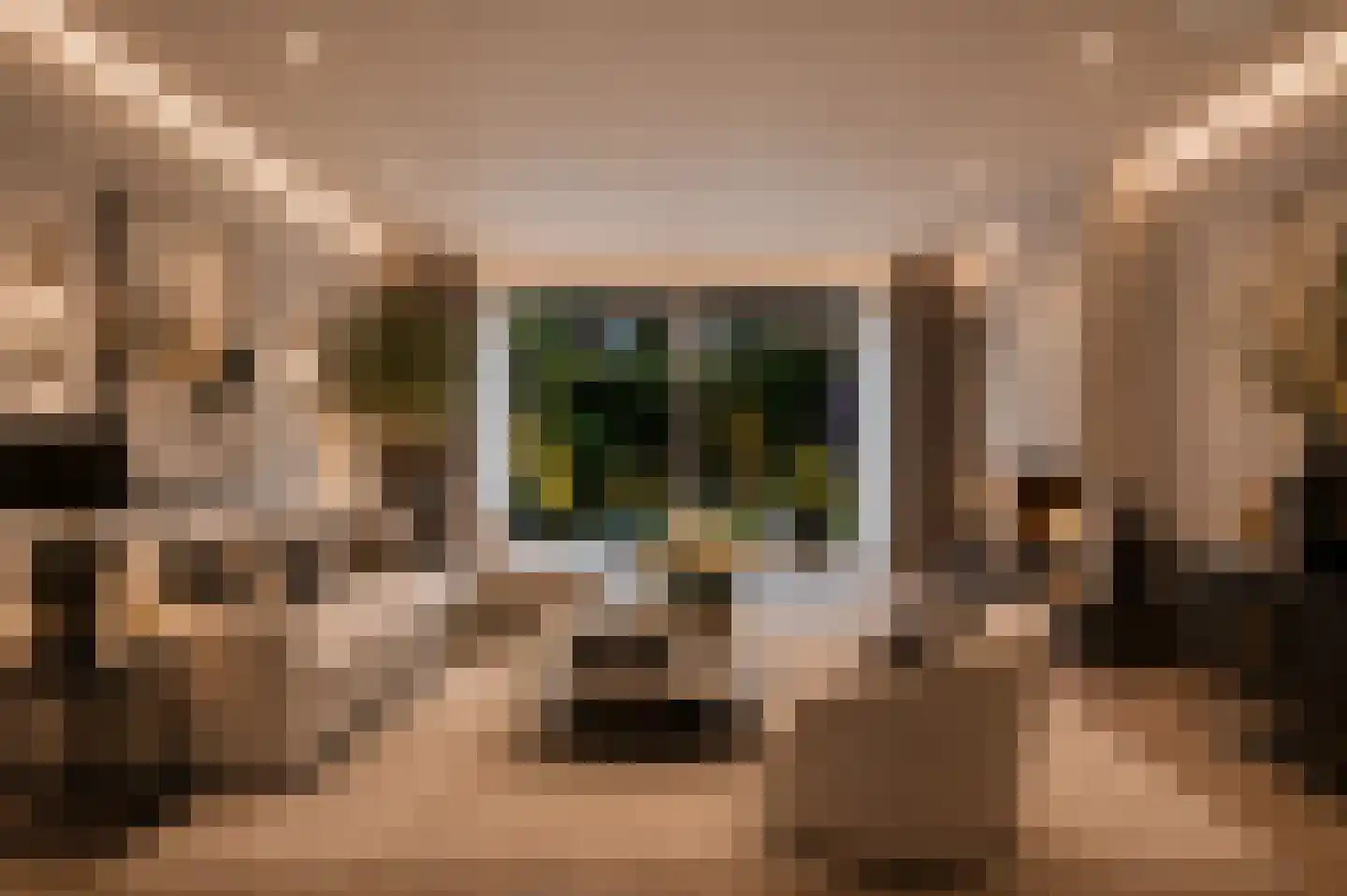 Beekhuizenseweg 27 Velp thumbnail 16