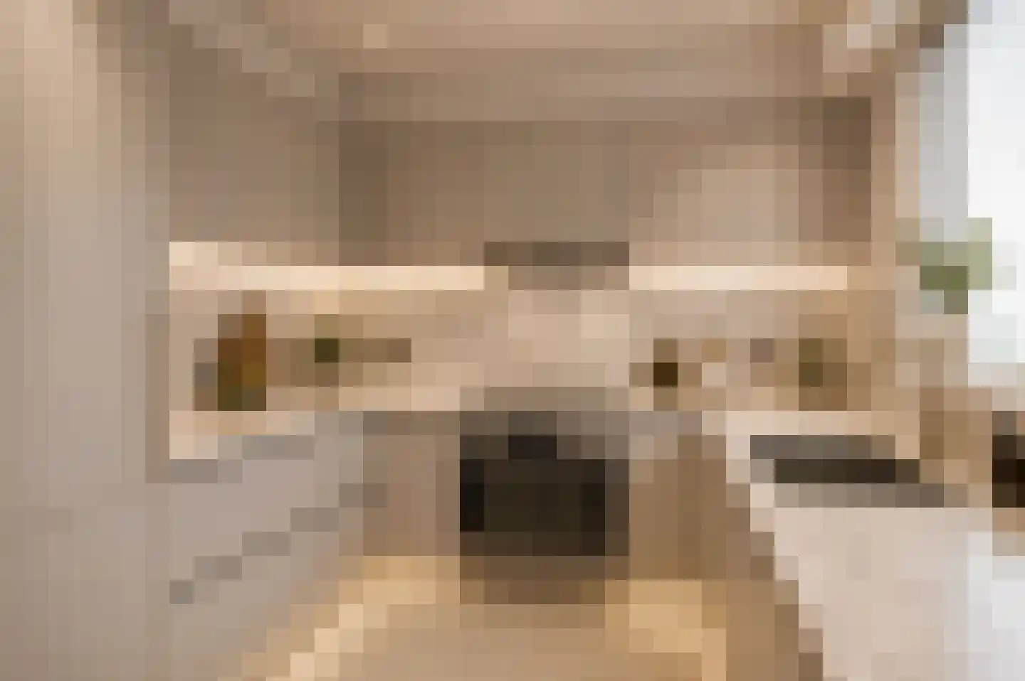 Beekhuizenseweg 27 Velp thumbnail 20