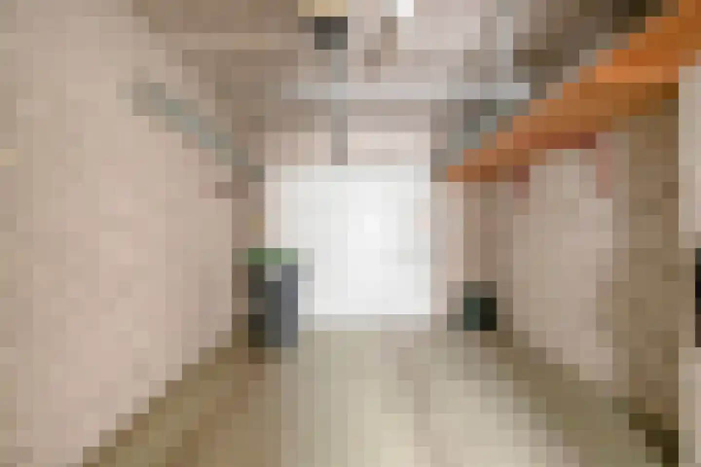 Beekhuizenseweg 27 Velp thumbnail 22