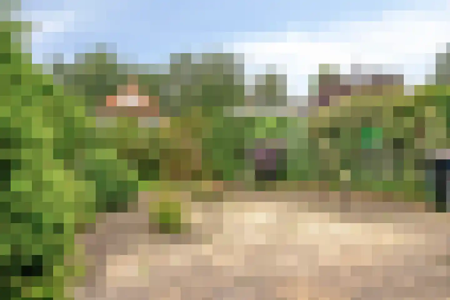 Beekhuizenseweg 27 Velp thumbnail 23