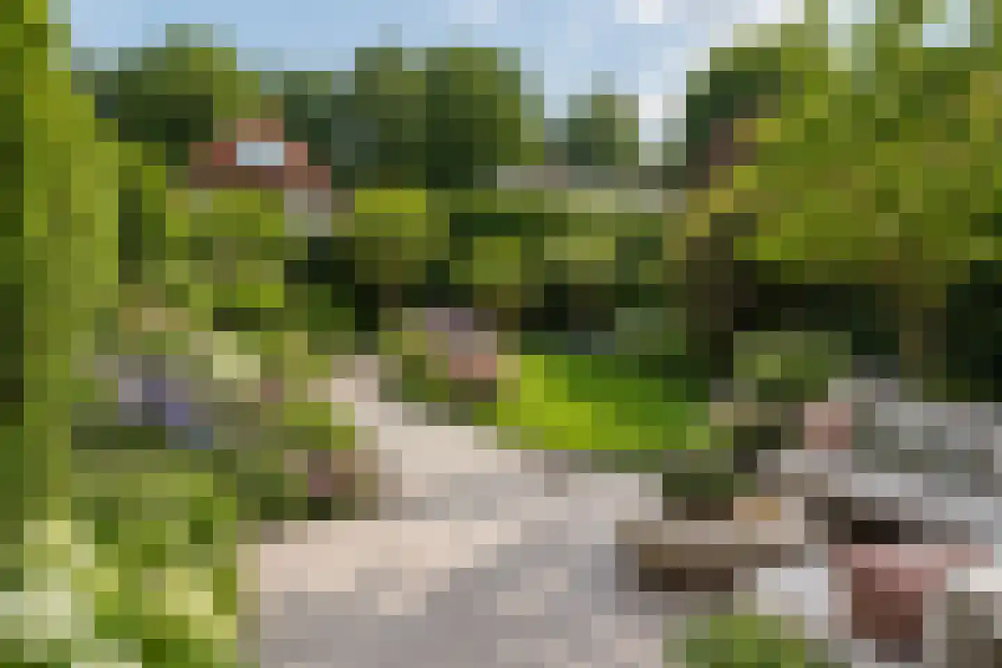 Beekhuizenseweg 27 Velp thumbnail 25