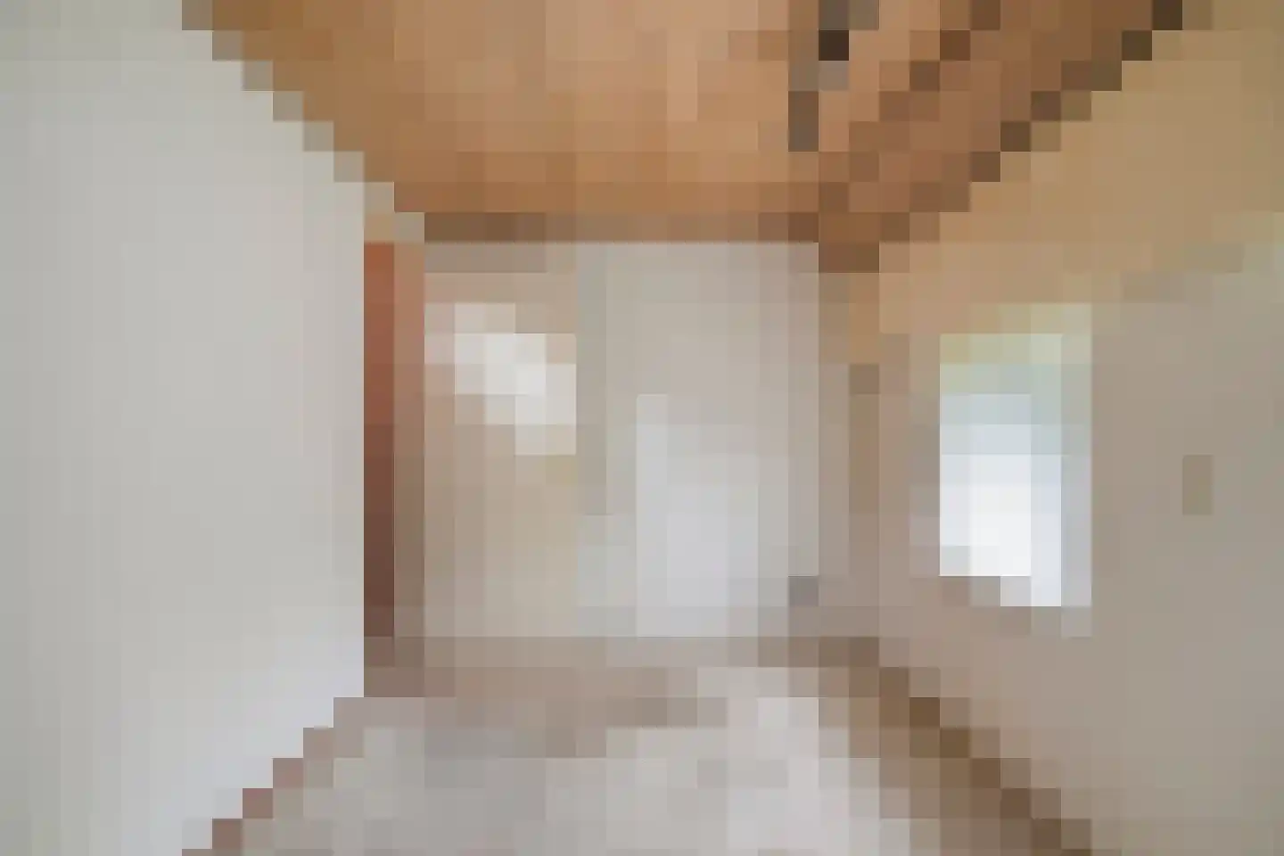 Beekhuizenseweg 27 Velp thumbnail 32