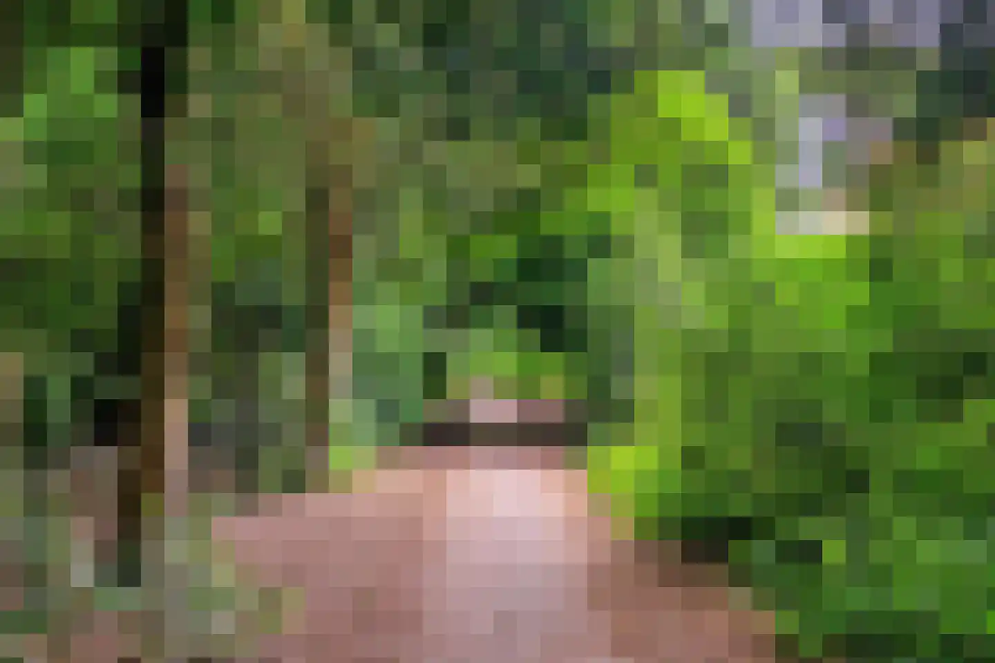 Beekhuizenseweg 27 Velp thumbnail 40