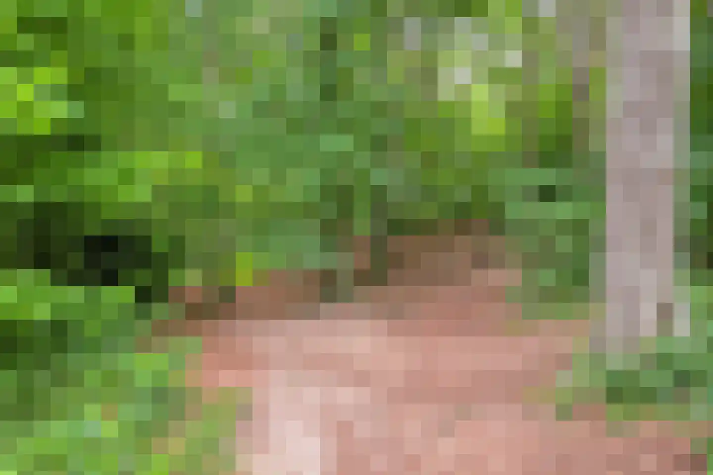 Beekhuizenseweg 27 Velp thumbnail 41