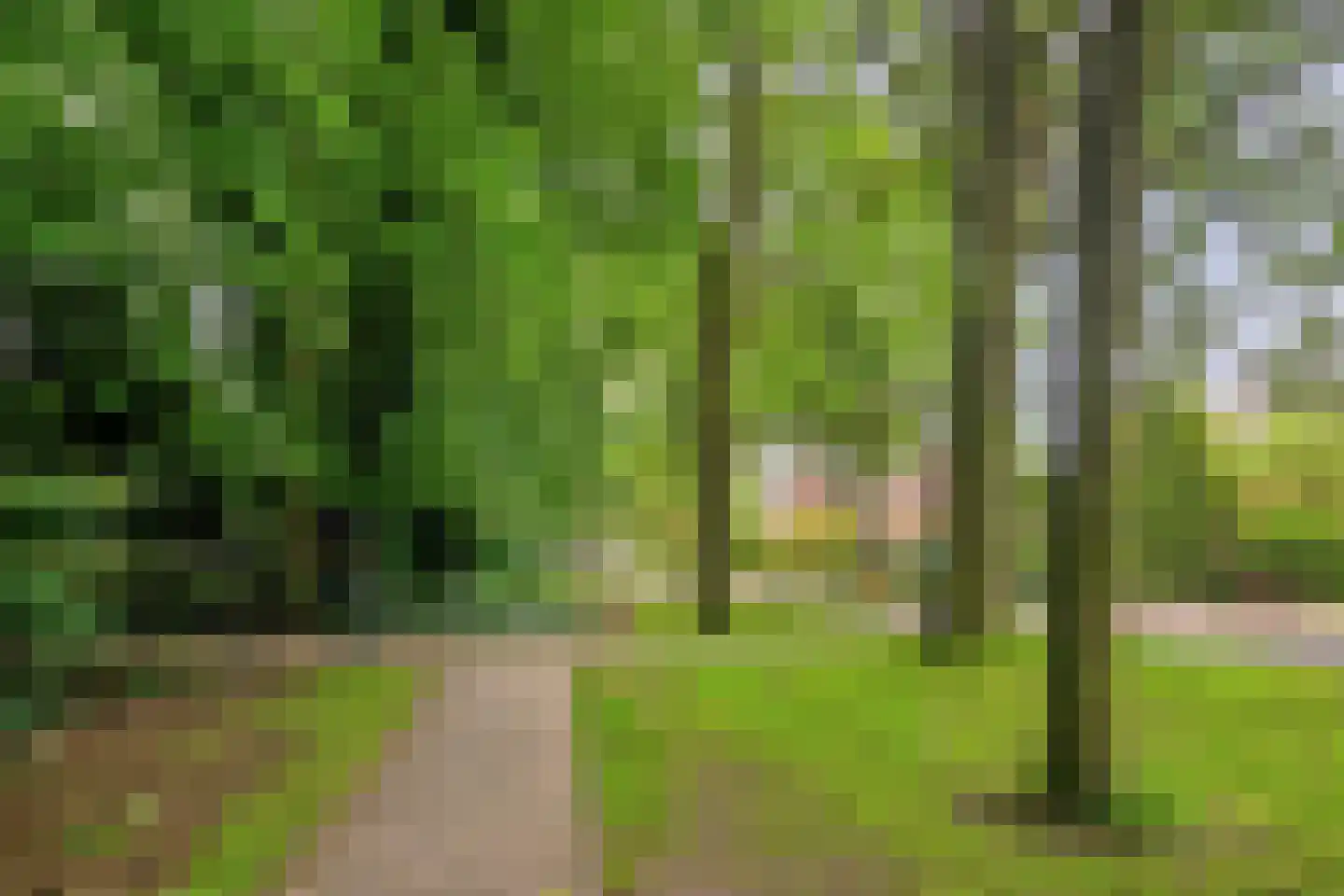 Beekhuizenseweg 27 Velp thumbnail 43