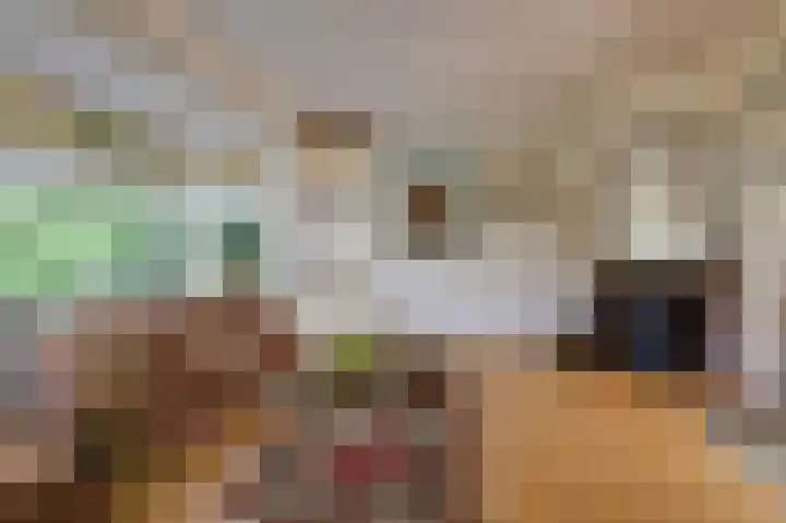 Beekhuizenseweg 51 Velp thumbnail 10