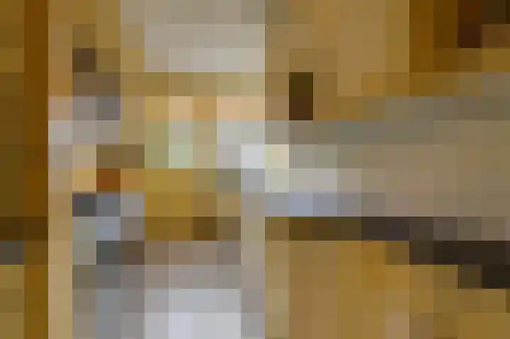 Beekhuizenseweg 51 Velp thumbnail 15