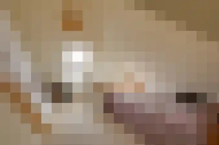 Beekhuizenseweg 51 Velp thumbnail 25
