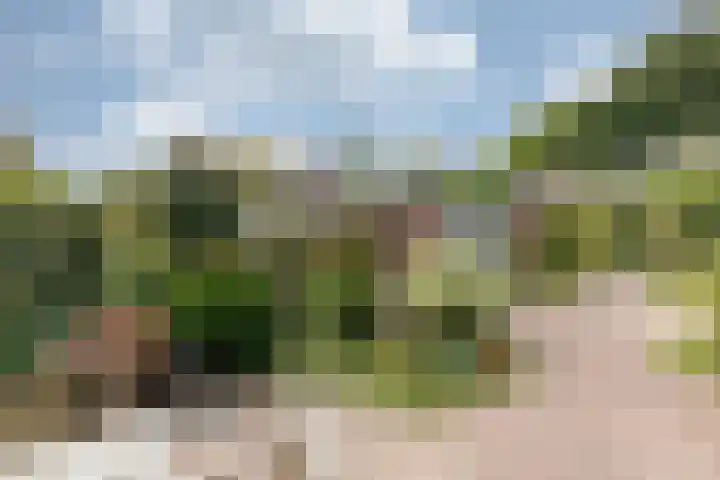 Beekhuizenseweg 51 Velp thumbnail 31