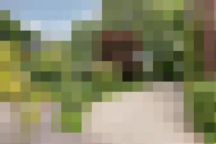 Beekhuizenseweg 51 Velp thumbnail 34