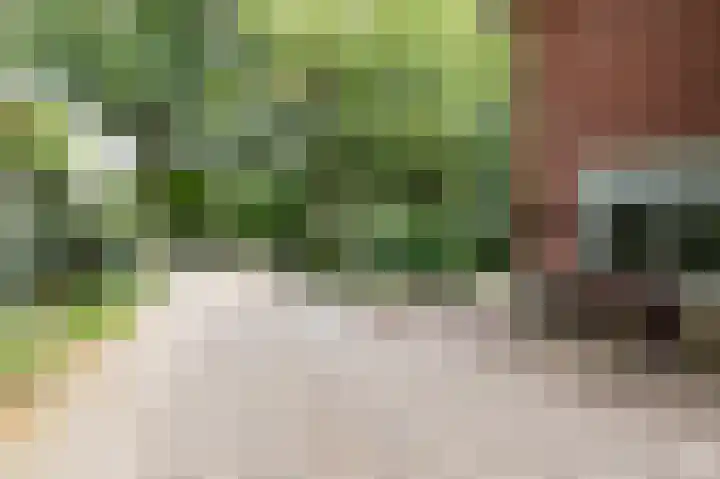 Beekhuizenseweg 51 Velp thumbnail 35