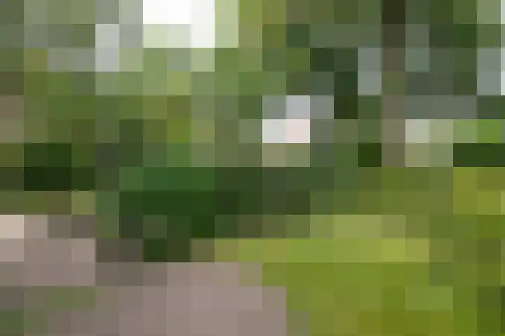Beekhuizenseweg 51 Velp thumbnail 36