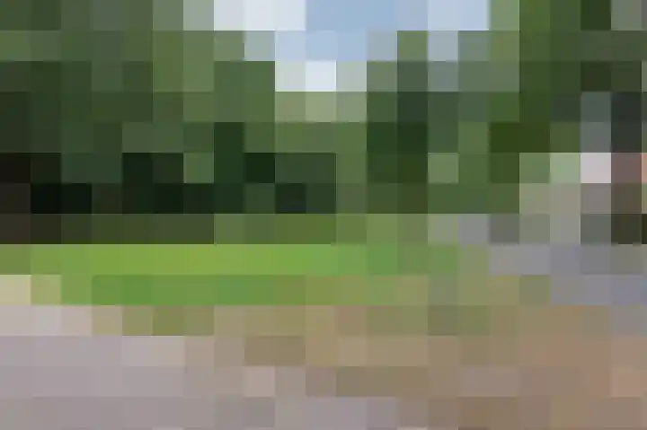 Beekhuizenseweg 51 Velp thumbnail 39