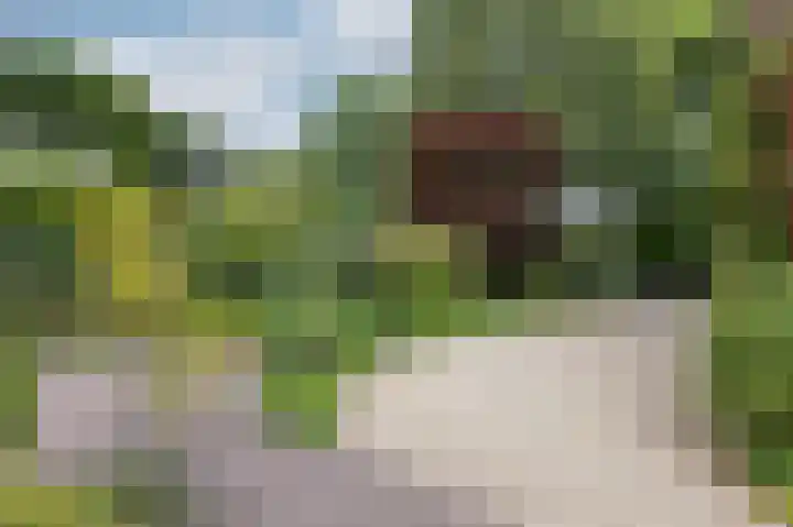 Beekhuizenseweg 51 Velp thumbnail 4
