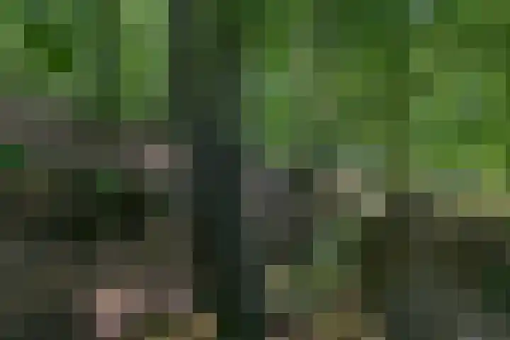 Beekhuizenseweg 51 Velp thumbnail 40