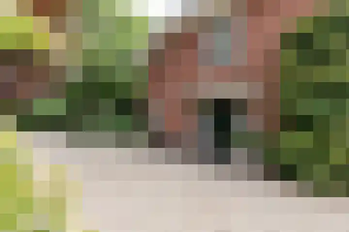 Beekhuizenseweg 51 Velp thumbnail 5