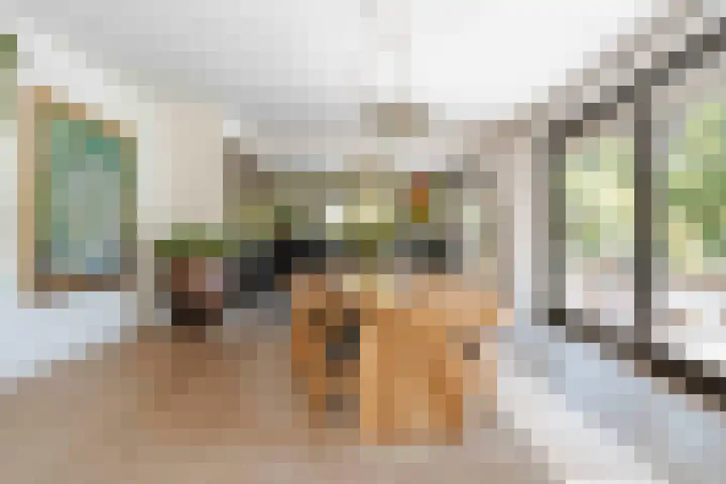 Beekhuizenseweg 75 Velp thumbnail 13