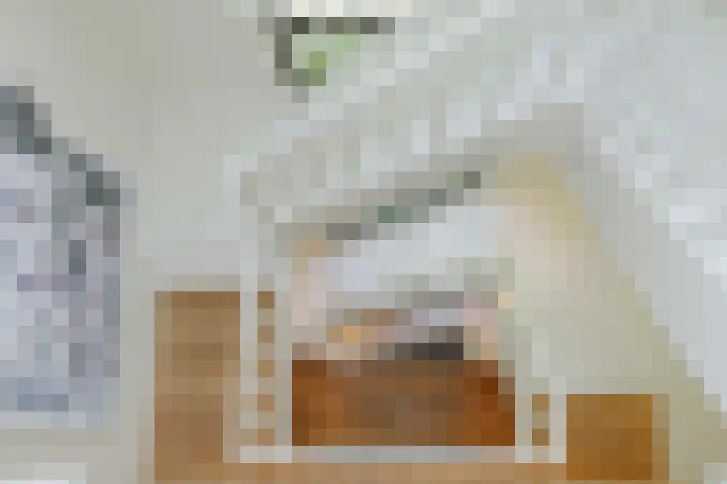 Beekhuizenseweg 75 Velp thumbnail 24