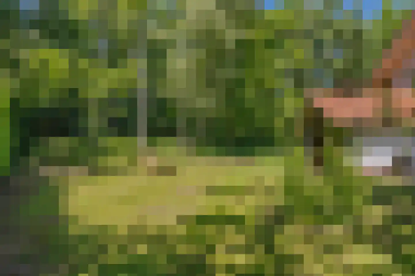 Beekhuizenseweg 75 Velp thumbnail 36