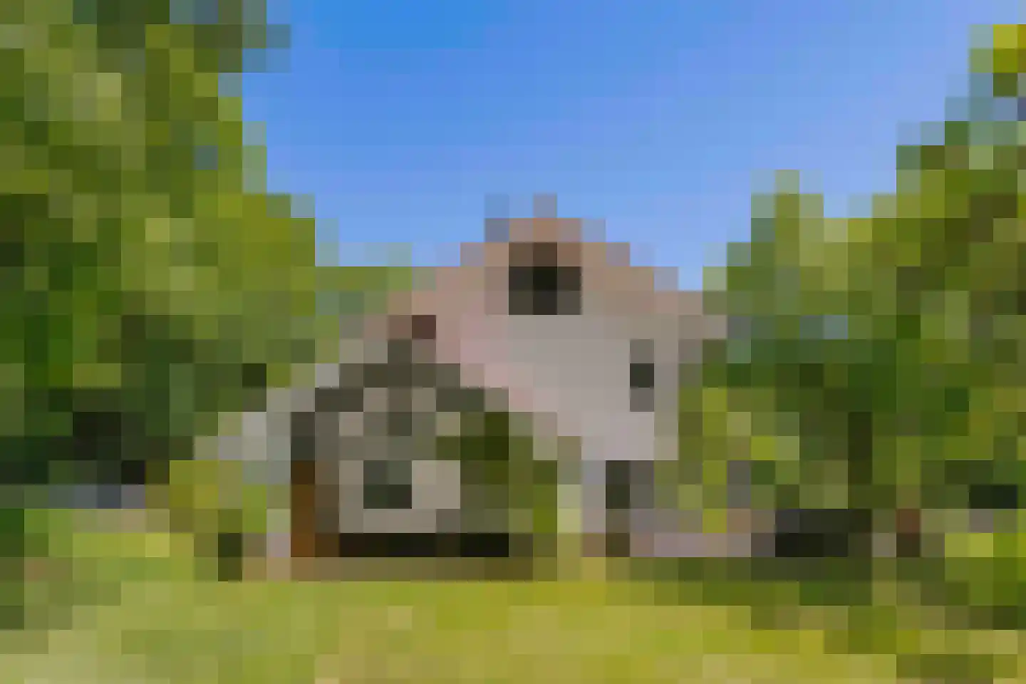 Beekhuizenseweg 75 Velp thumbnail 37