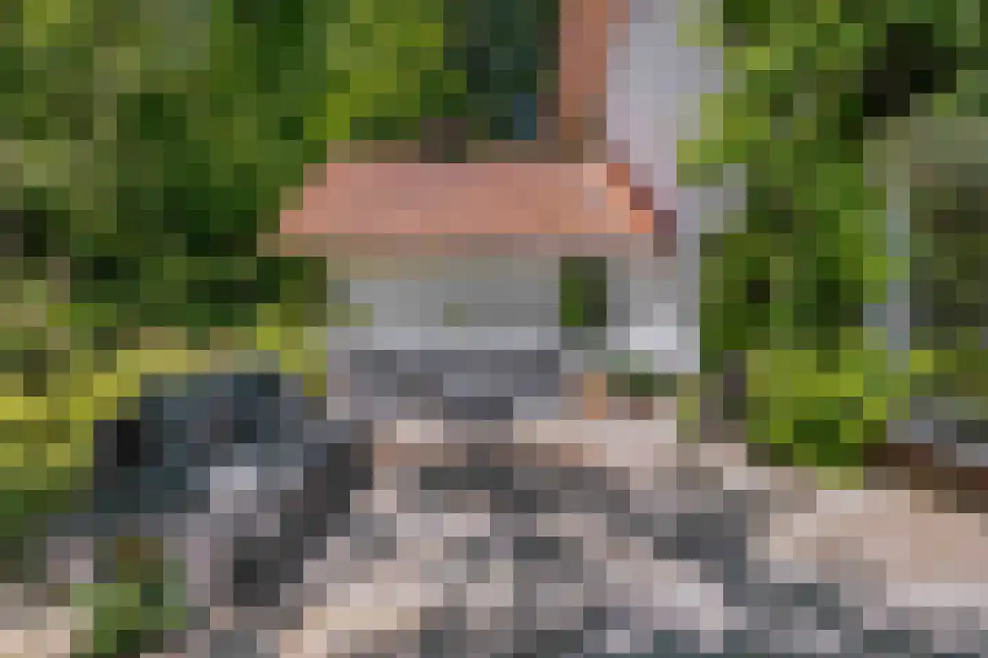 Beekhuizenseweg 75 Velp thumbnail 38