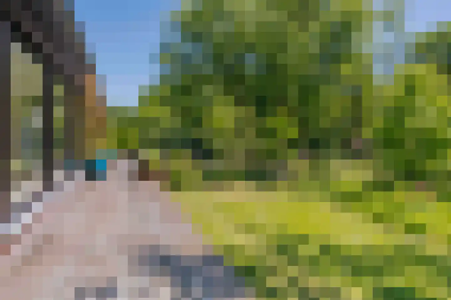 Beekhuizenseweg 75 Velp thumbnail 39