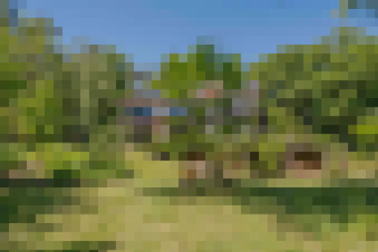 Beekhuizenseweg 75 Velp thumbnail 41