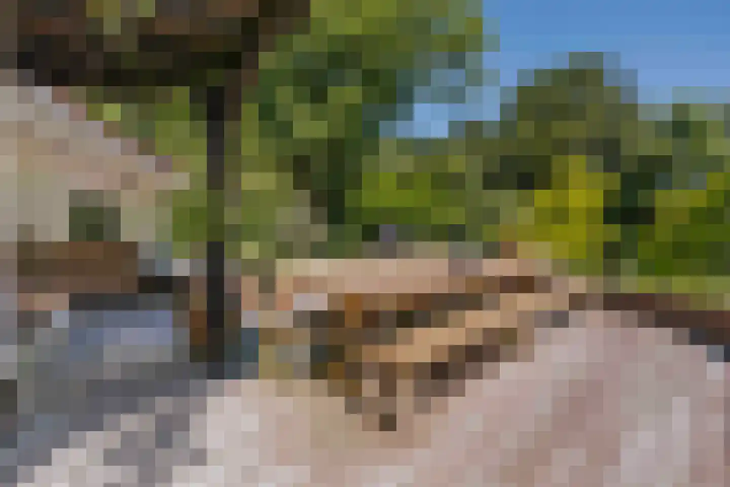 Beekhuizenseweg 75 Velp thumbnail 43