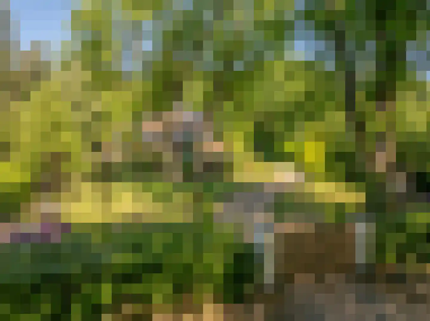 Beekhuizenseweg 75 Velp thumbnail 45