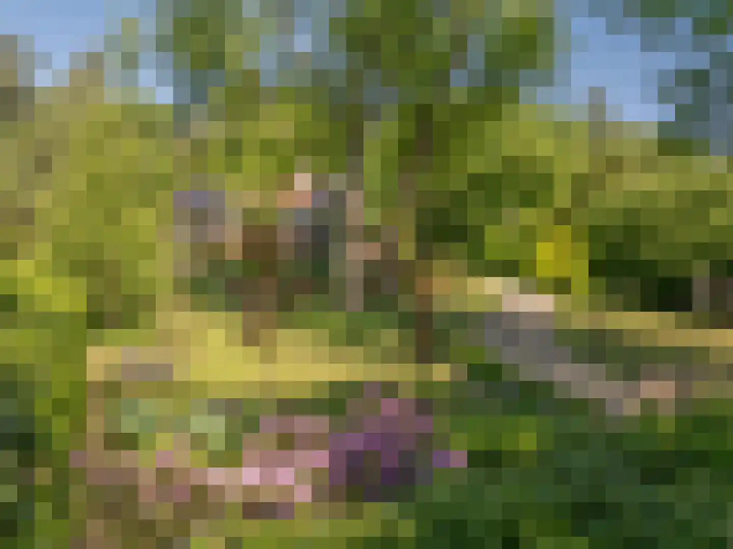 Beekhuizenseweg 75 Velp thumbnail 46