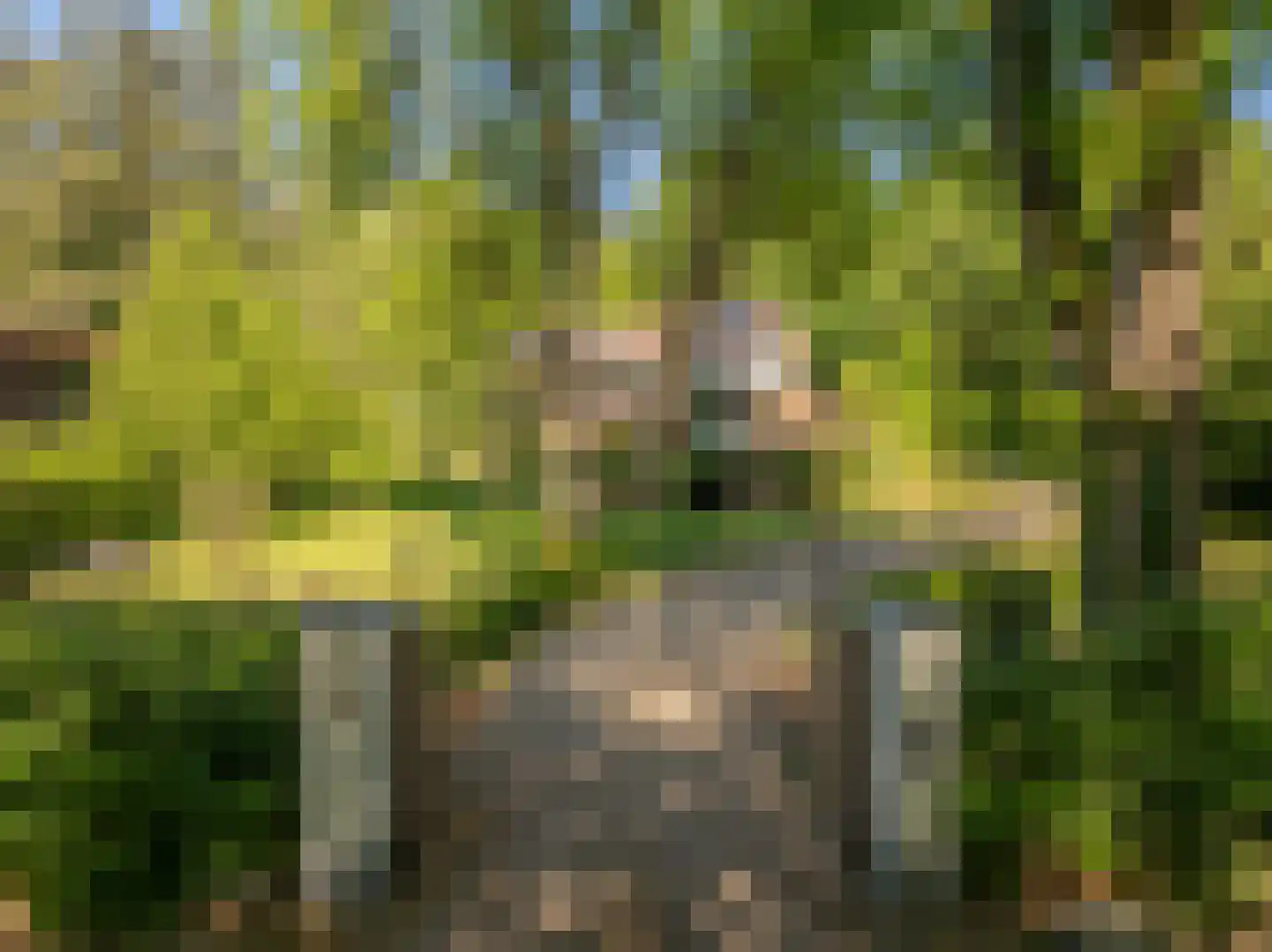 Beekhuizenseweg 75 Velp thumbnail 47