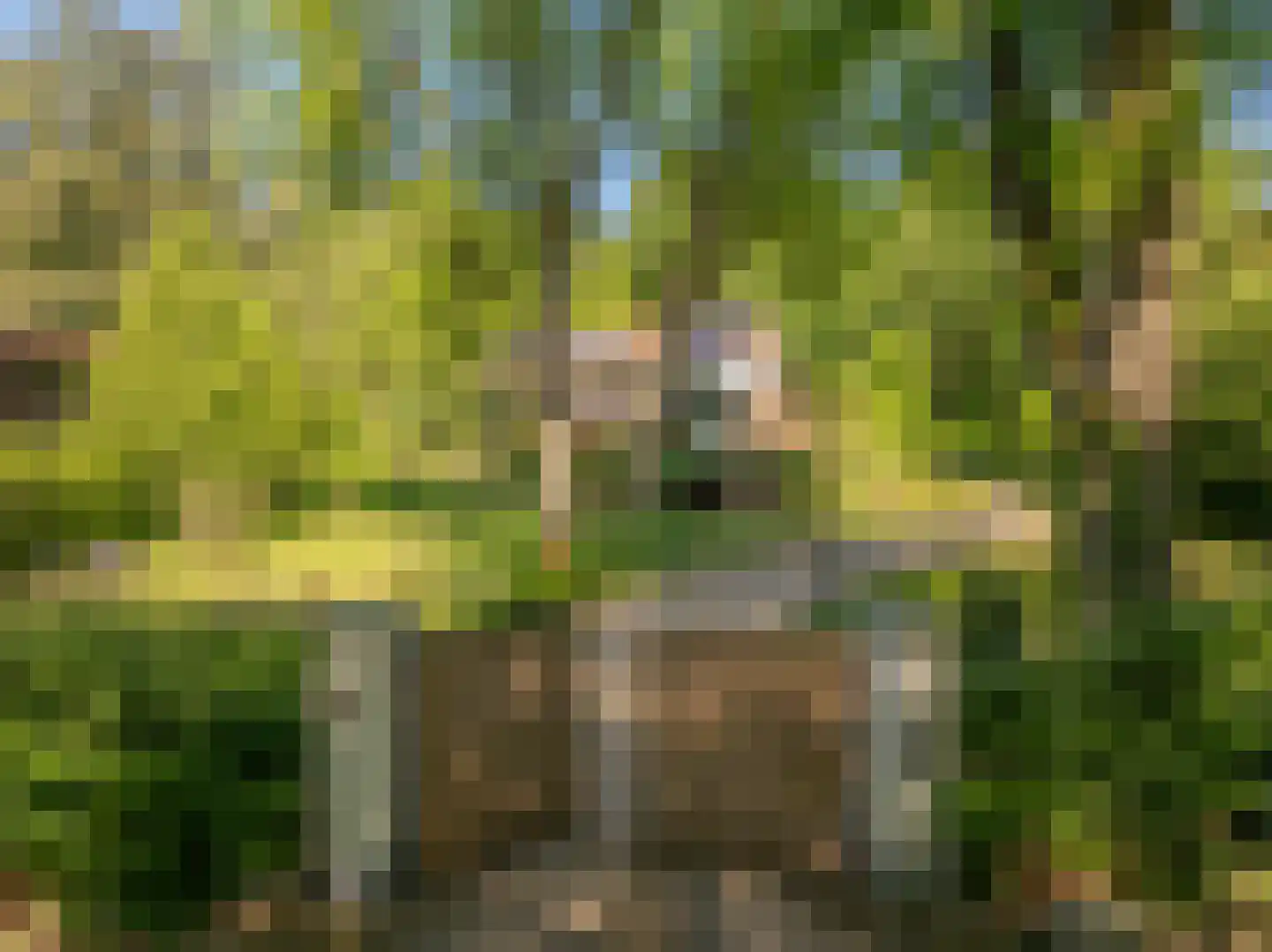 Beekhuizenseweg 75 Velp thumbnail 48