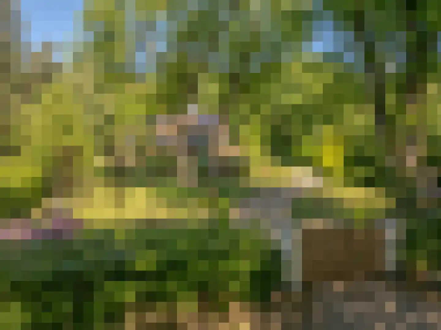 Beekhuizenseweg 75 Velp thumbnail 49