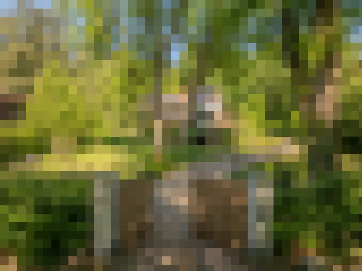 Beekhuizenseweg 75 Velp thumbnail 5