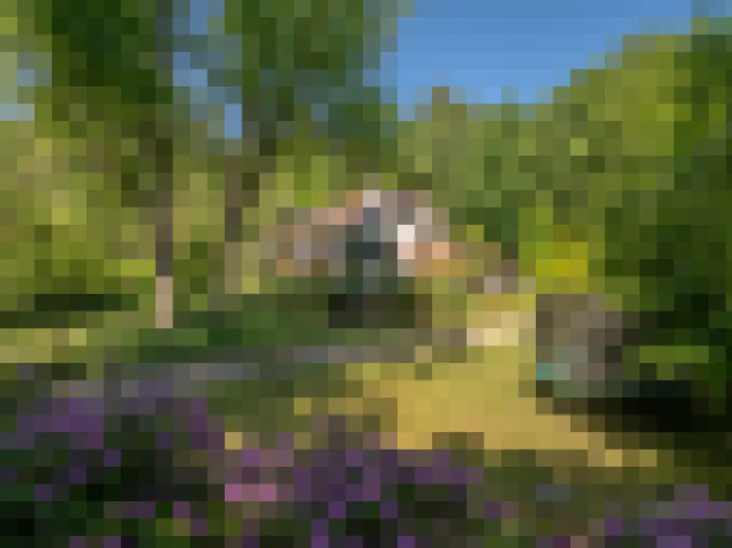 Beekhuizenseweg 75 Velp thumbnail 50