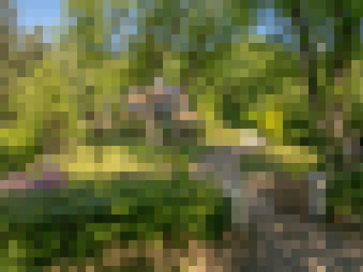 Beekhuizenseweg 75 Velp thumbnail 51