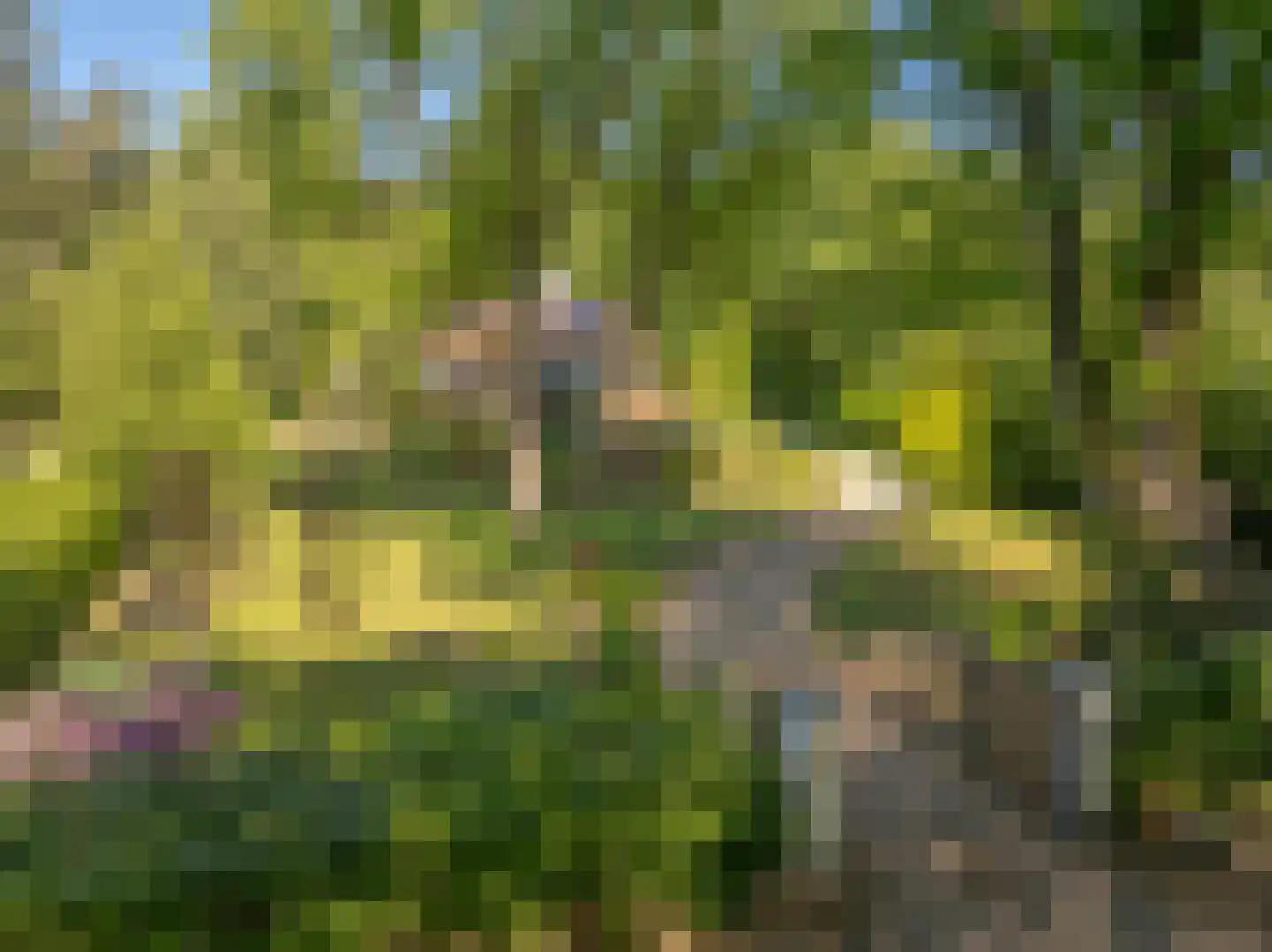 Beekhuizenseweg 75 Velp thumbnail 52