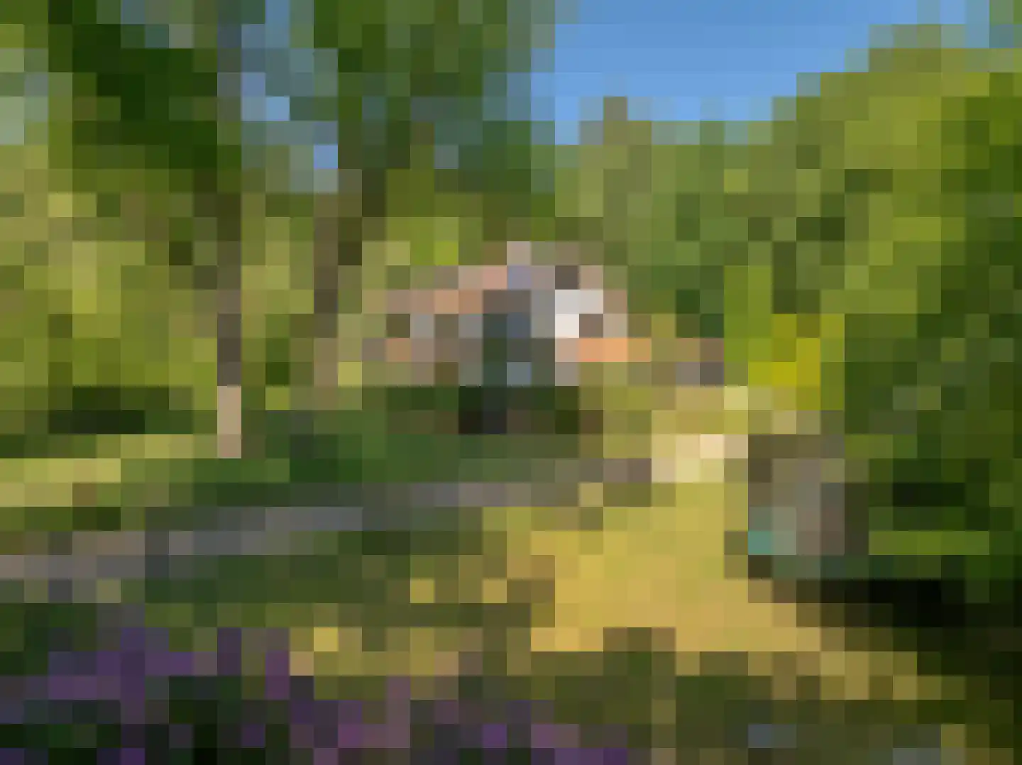 Beekhuizenseweg 75 Velp thumbnail 53