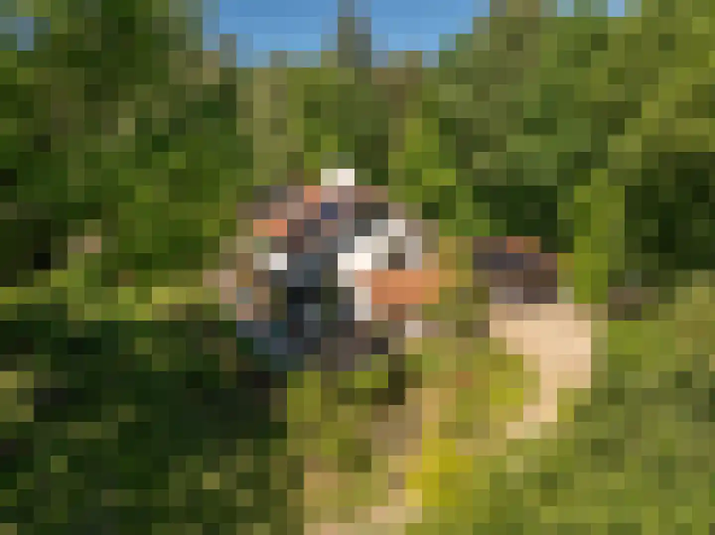 Beekhuizenseweg 75 Velp thumbnail 54