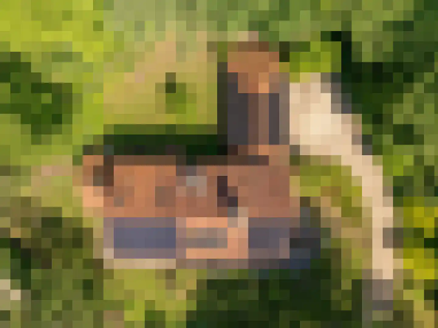 Beekhuizenseweg 75 Velp thumbnail 55